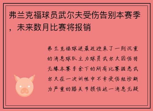 弗兰克福球员武尔夫受伤告别本赛季，未来数月比赛将报销