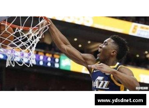 4008云顶国际官网NBA球员全景：探索明星与新秀的壮举与激情 - 副本