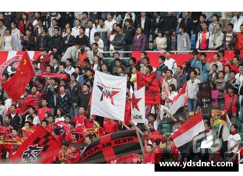4008云顶国际官网篮网球迷狂热庆祝胜利，球队人气再次飙升 - 副本